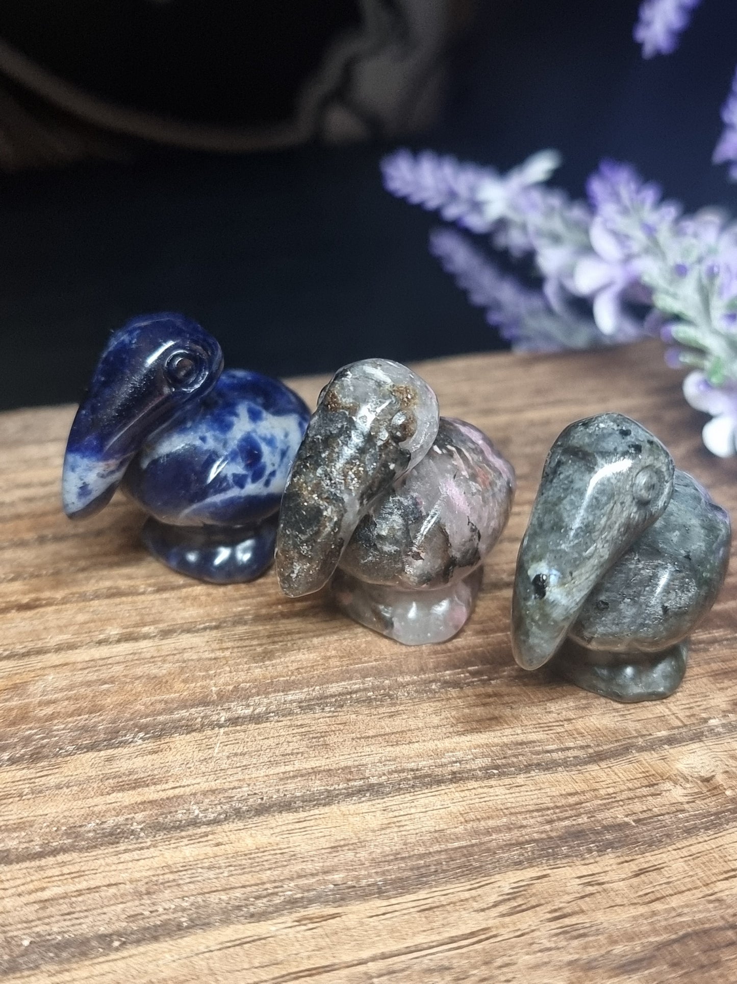 Ibis carvings