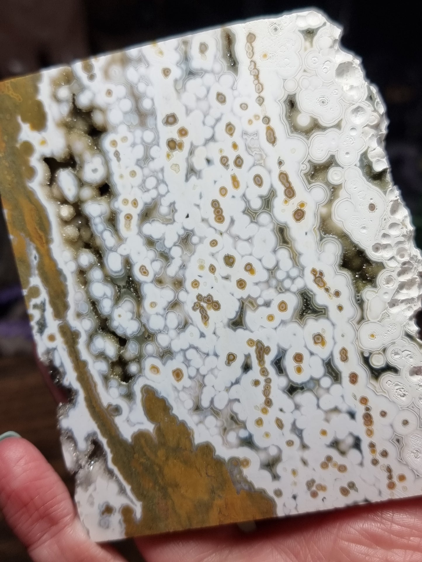 8th vein ocean jasper slice X