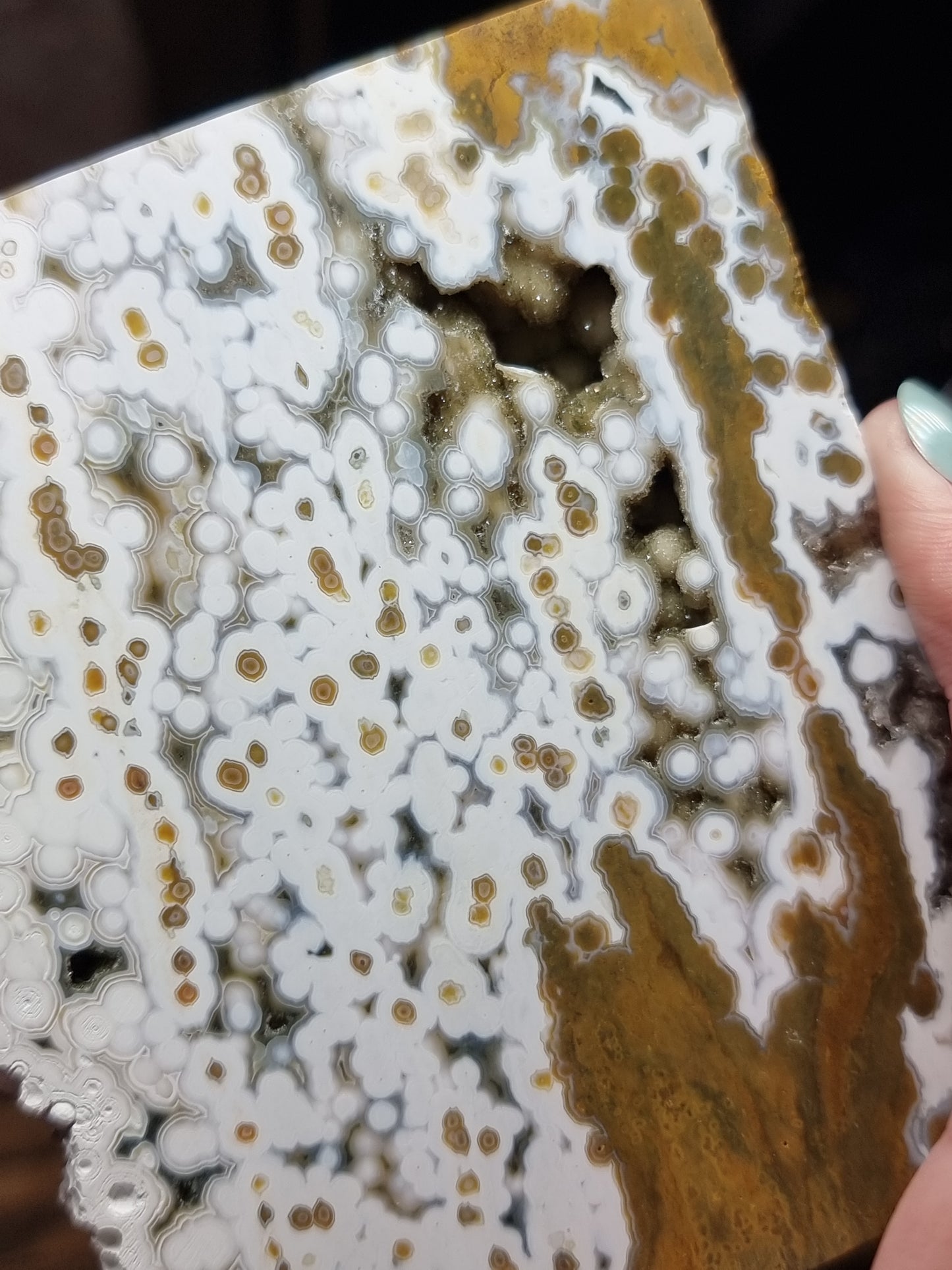 8th vein ocean jasper slice X