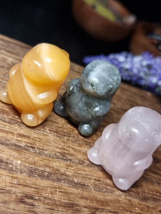 Chubby dino carvings
