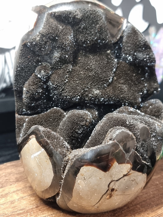 Druzy septarian freeform A
