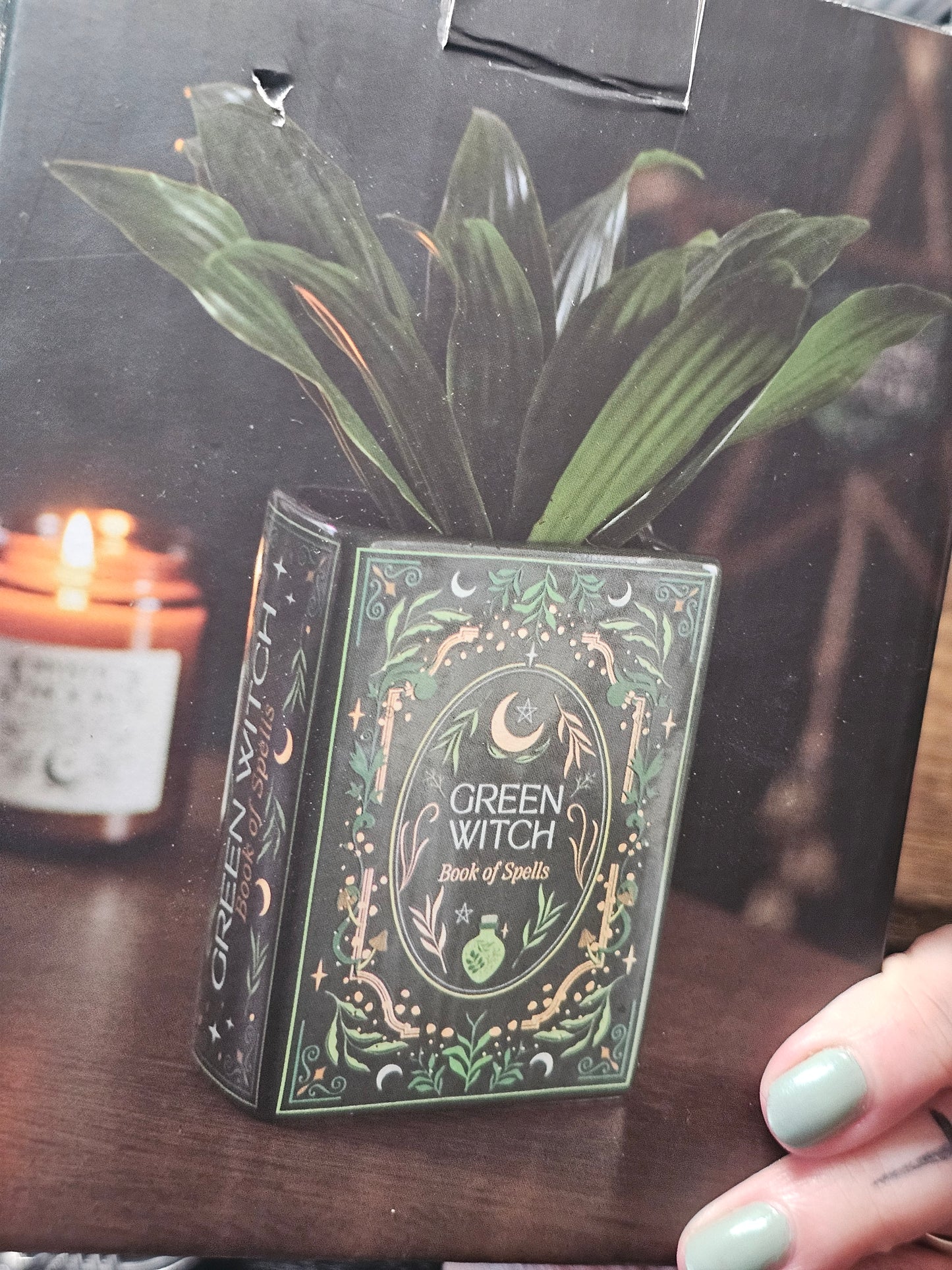 Green witch book vase