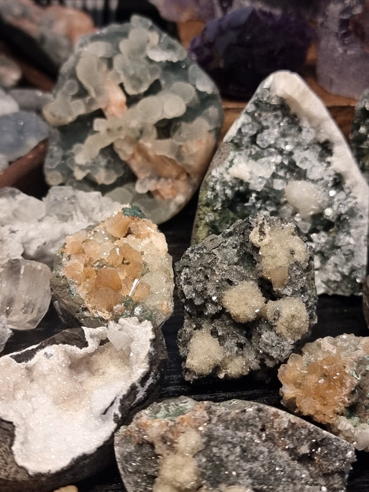 Specimen mystery box