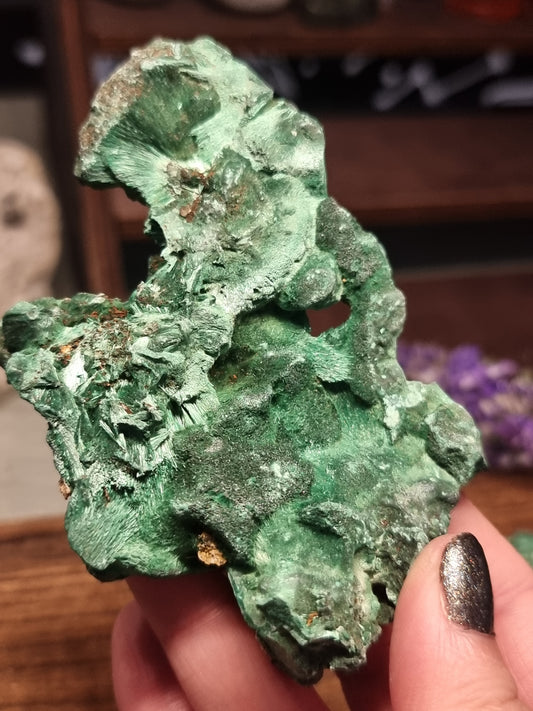 Velvet malachite