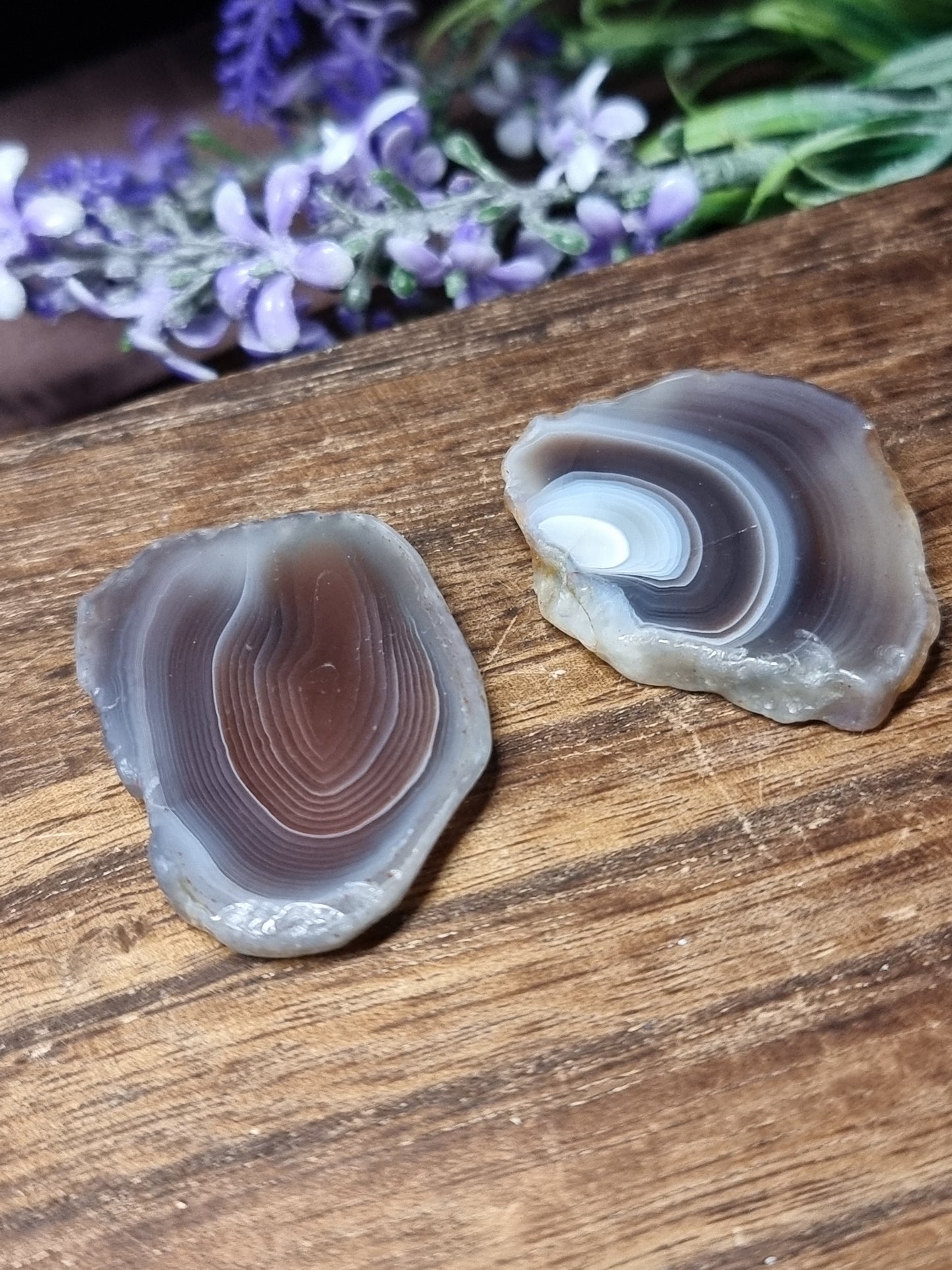 Botswana agate small slices