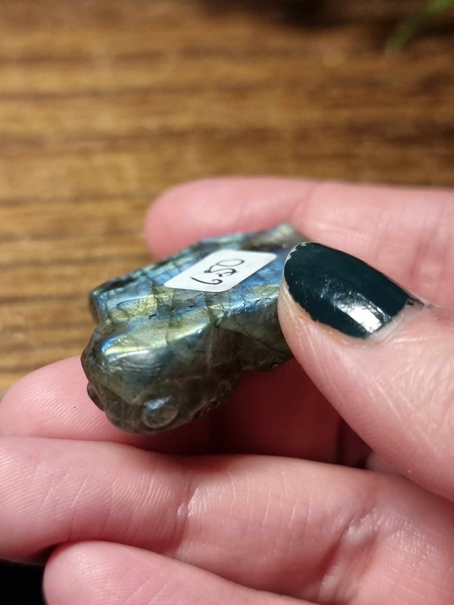 Labradorite goldfish