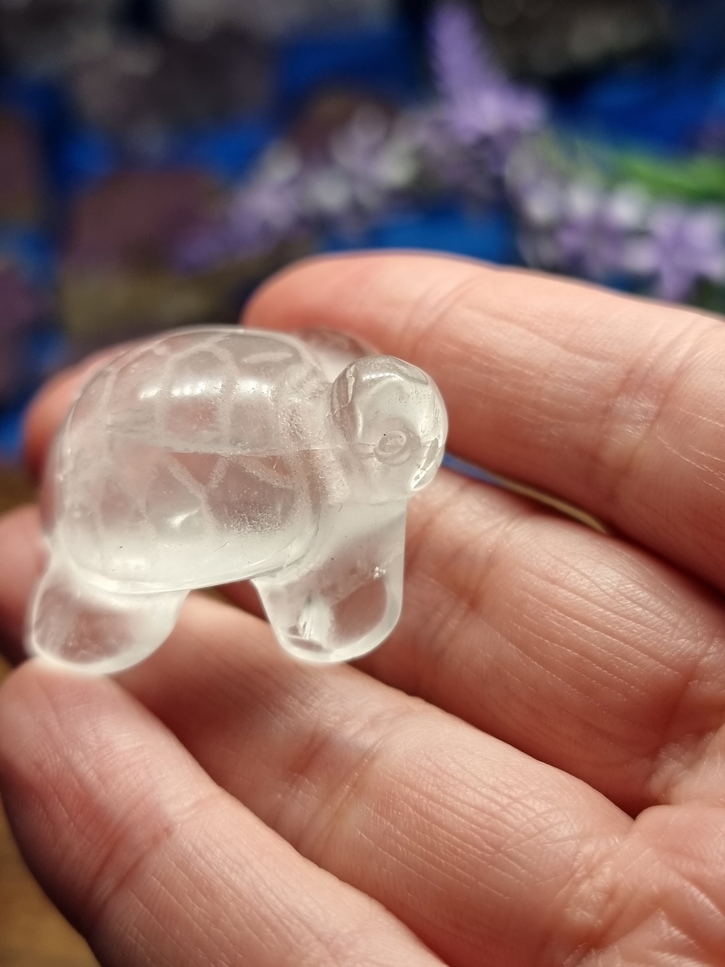Turtle carvings