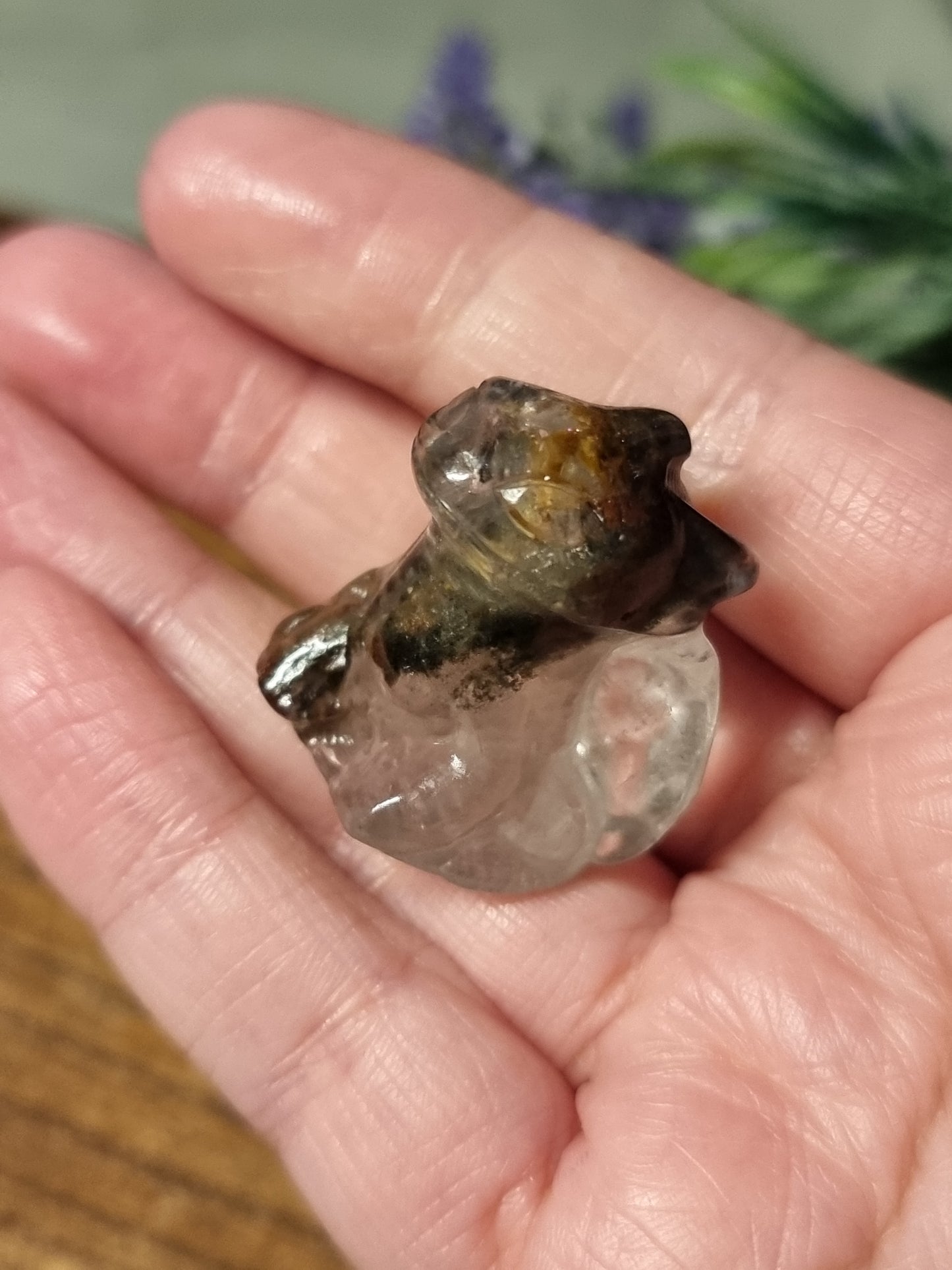 Garden quartz toothless