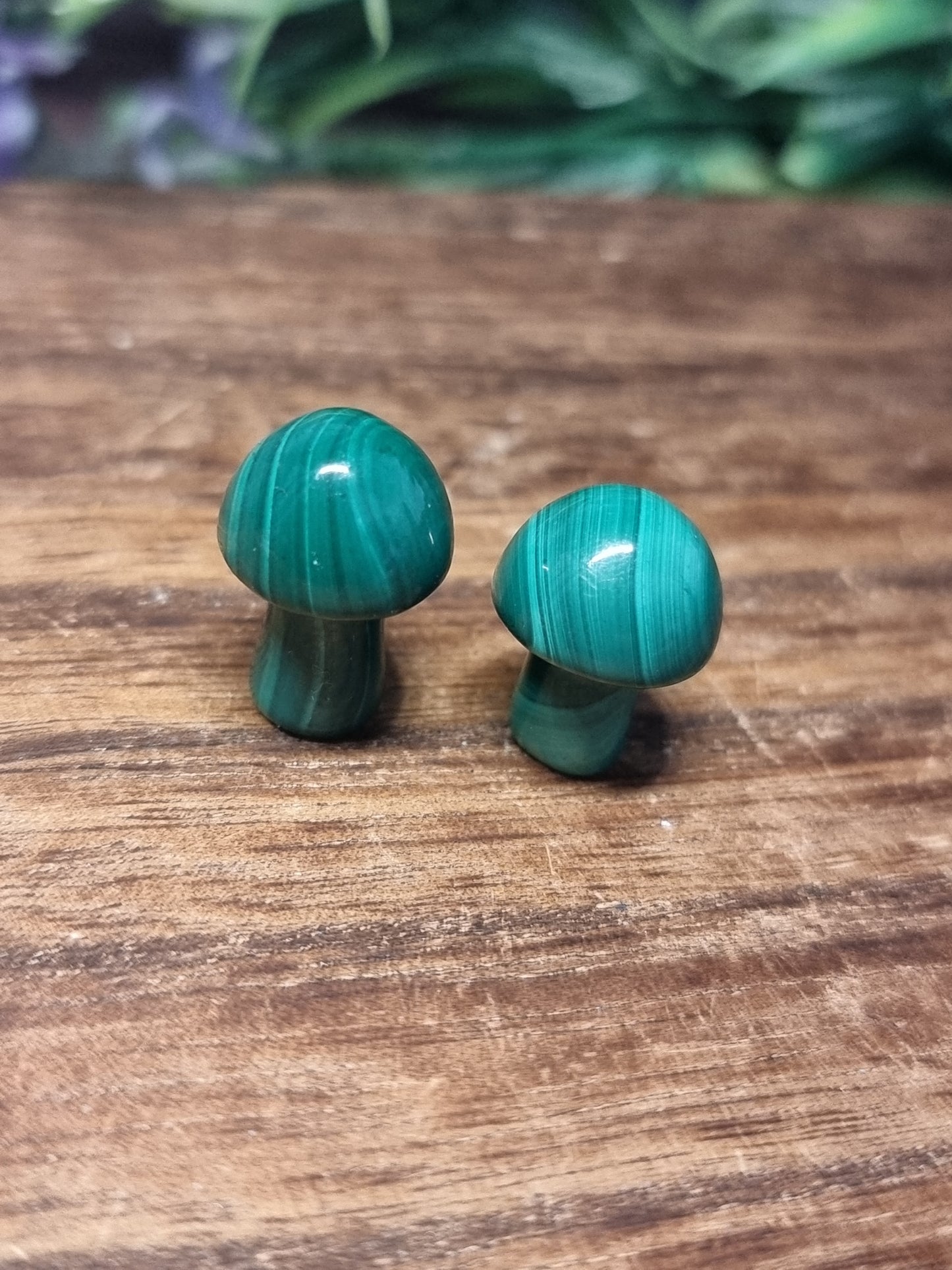 Malachite mini mushrooms
