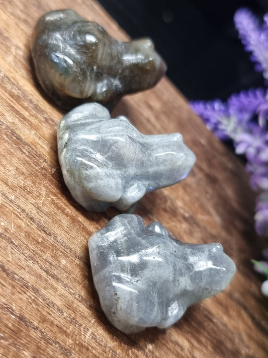 Labradorite frogs