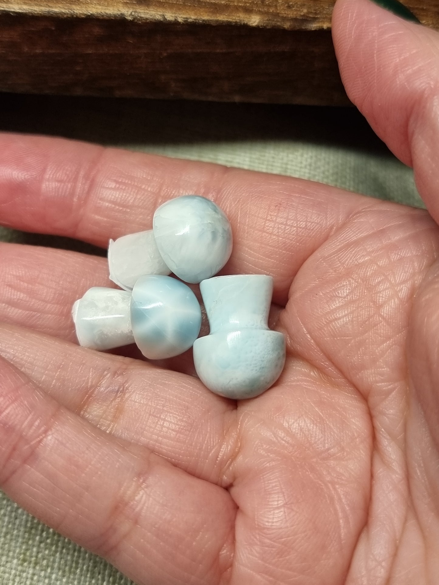Larimar mushrooms
