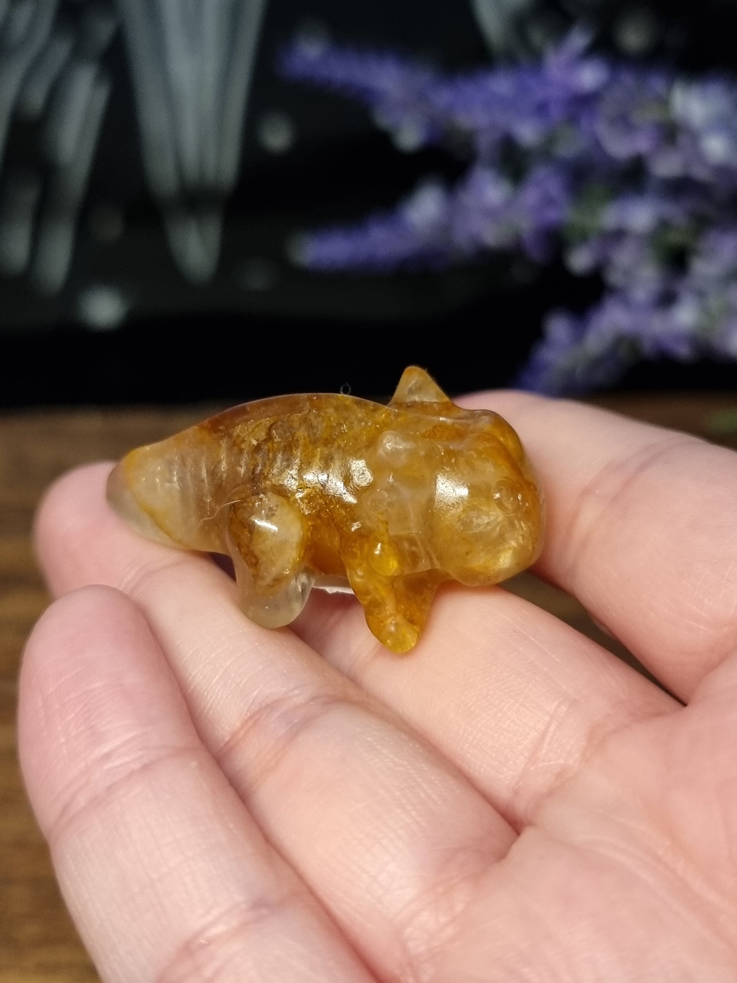 Golden healer axolotl