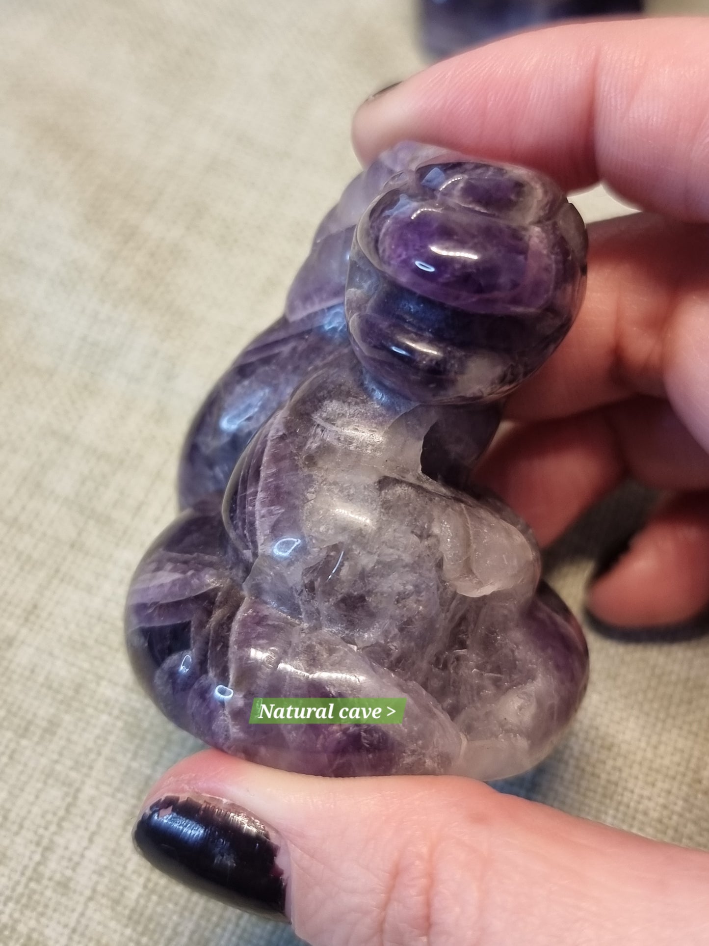 Amethyst Ekans pokemon
