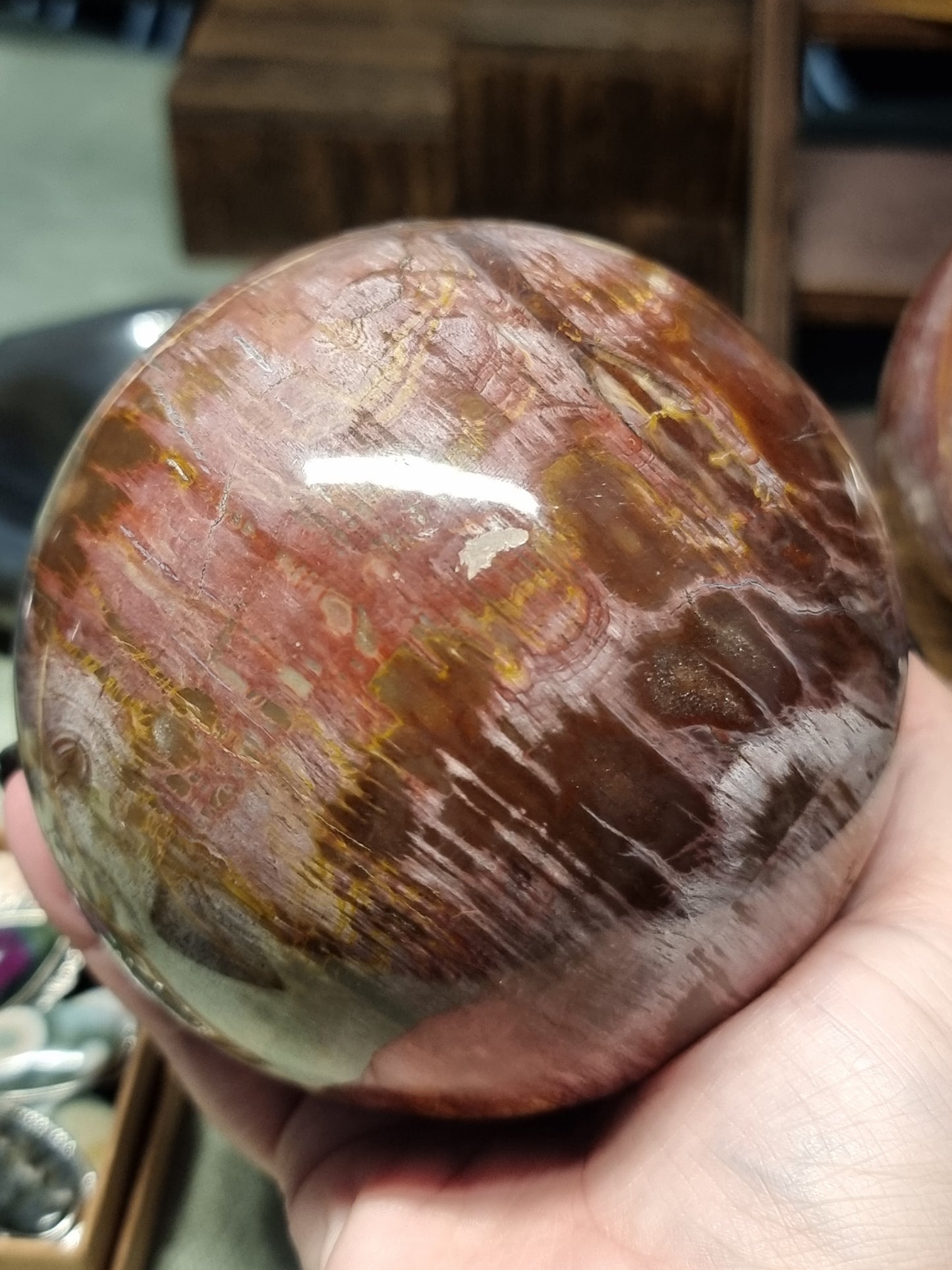 Petrified wood spheres