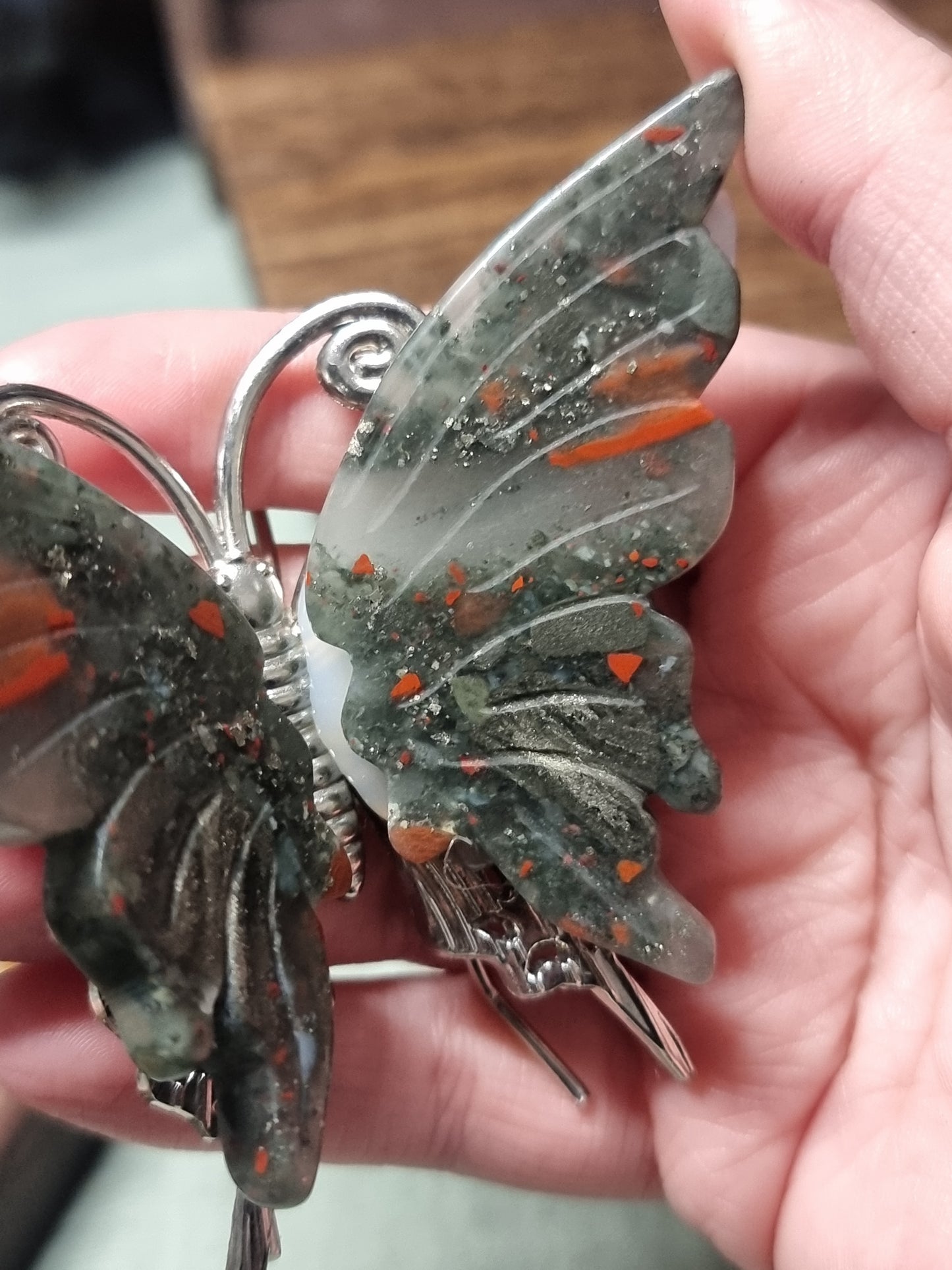 African bloodstone butterfly