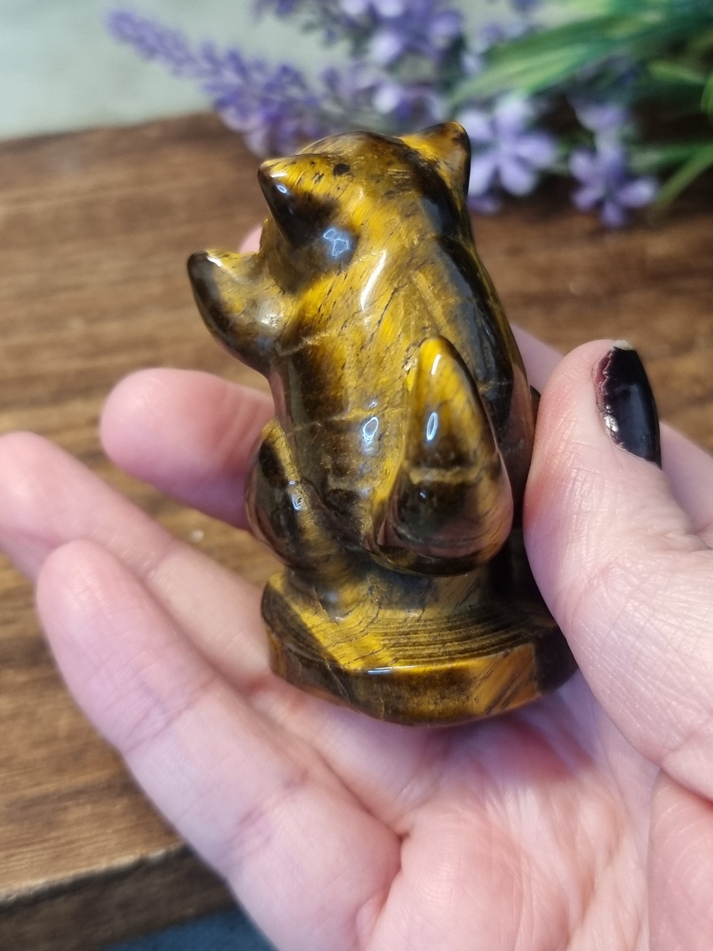 Tigers eye sandshrew pokemon