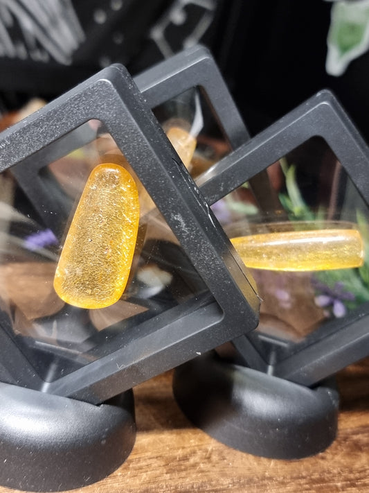 Insects in copal