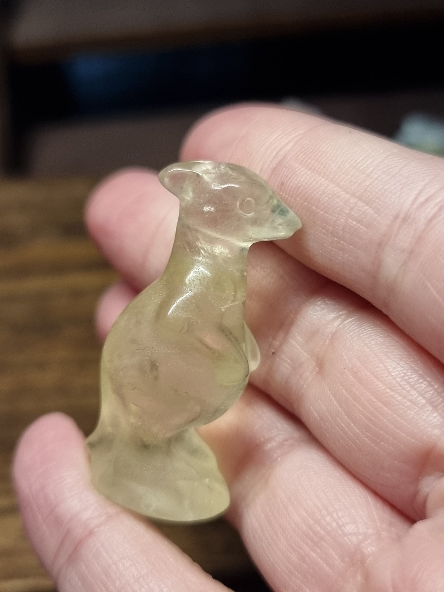 Kangaroo carvings
