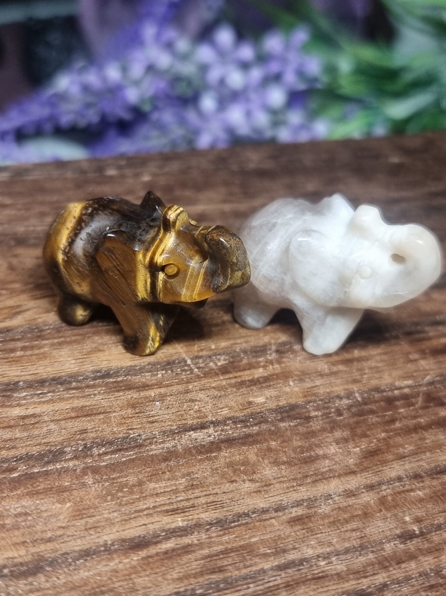 Elephant carvings