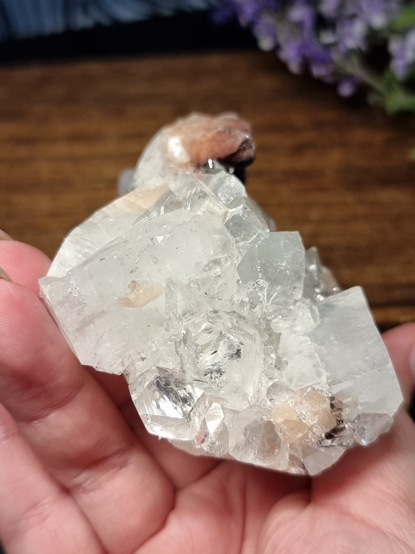 Apophyllite with peach stillbite & hematite