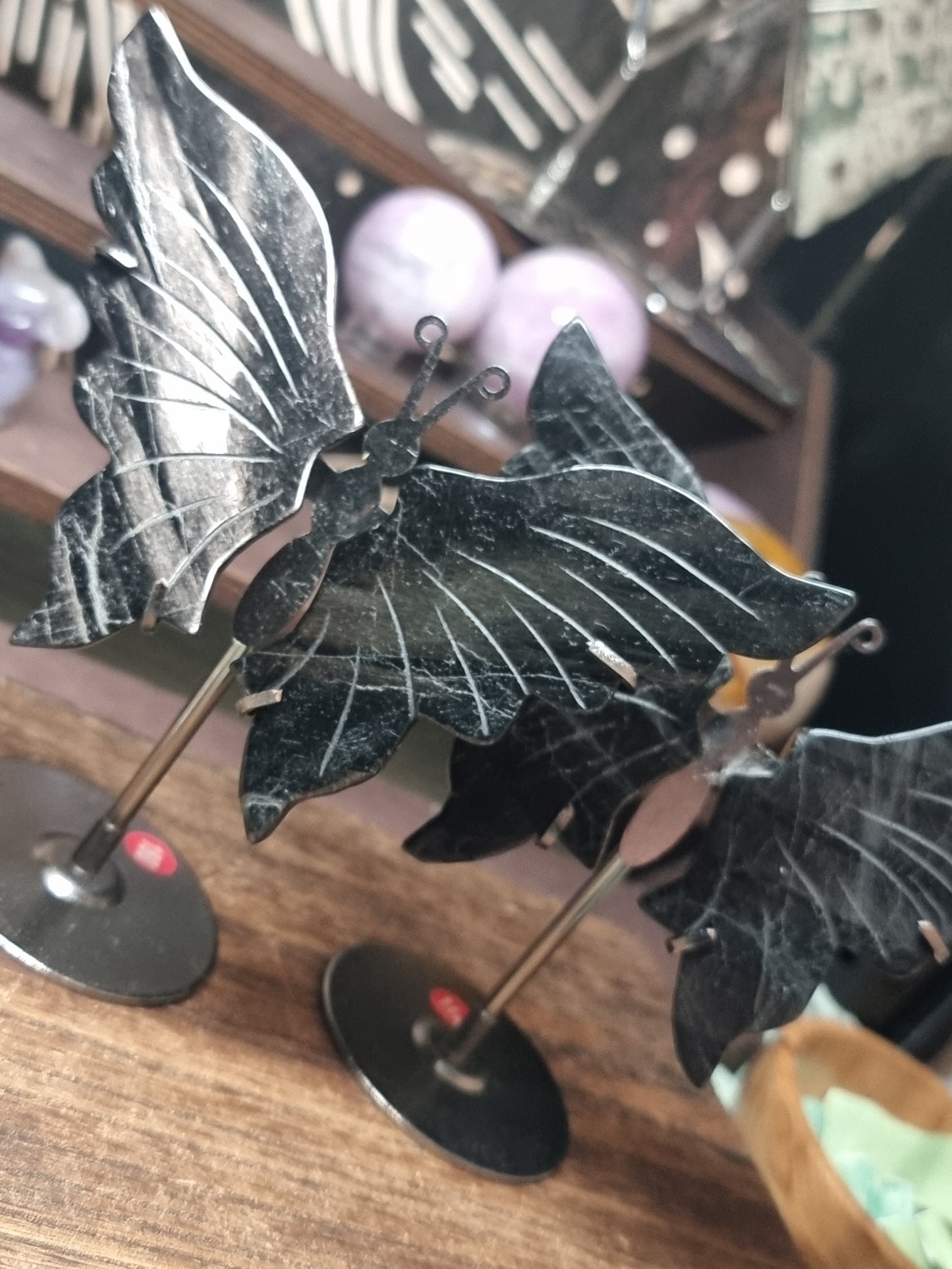 Hypersthene butterfly wings