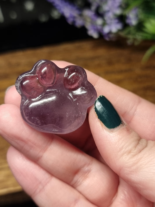 Amethyst paw print