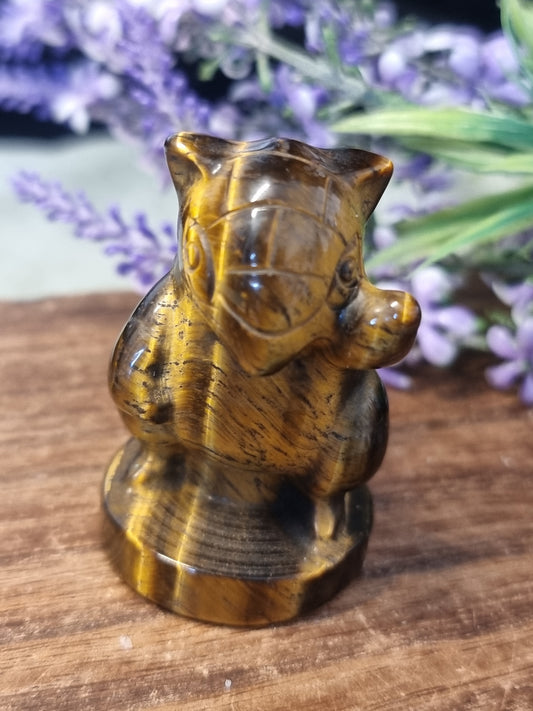 Tigers eye sandshrew pokemon