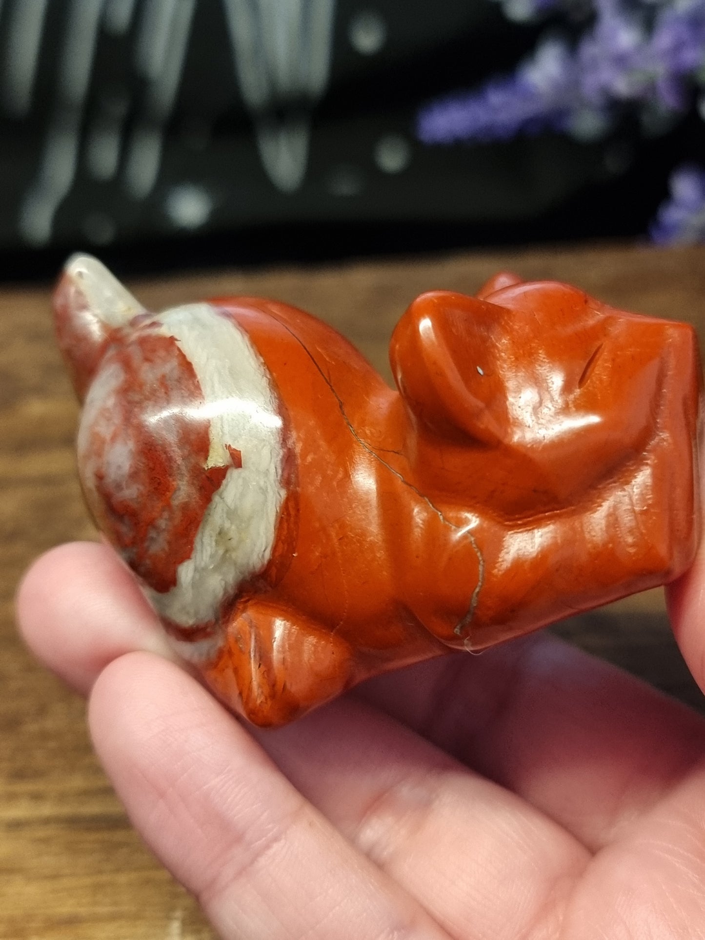Red jasper cat