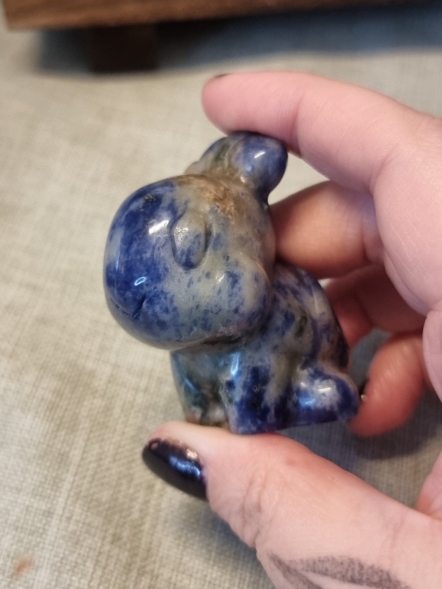 Sodalite turtwig pokemon