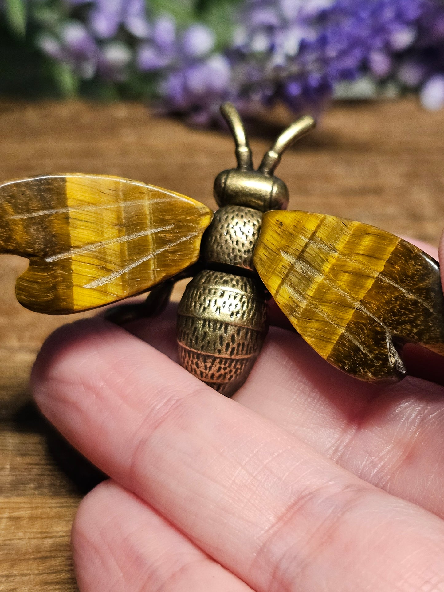 Tigers eye brass bee