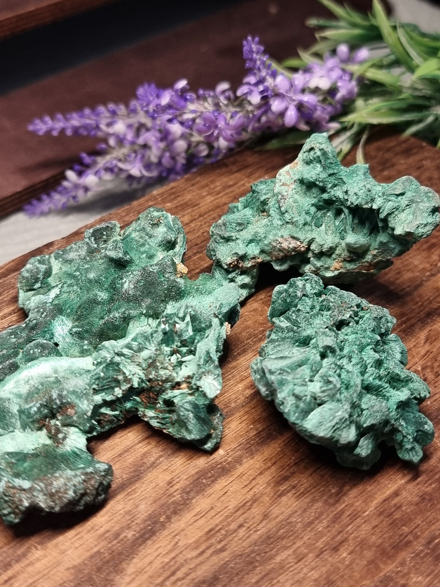 Velvet malachite