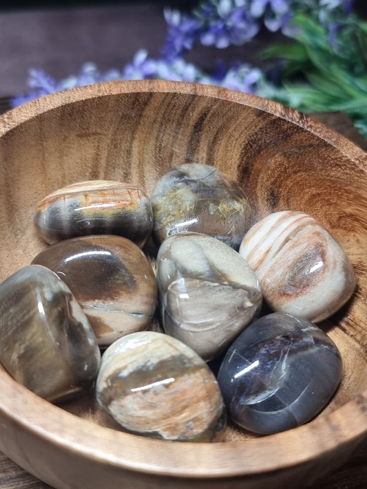 Petrified wood tumbles