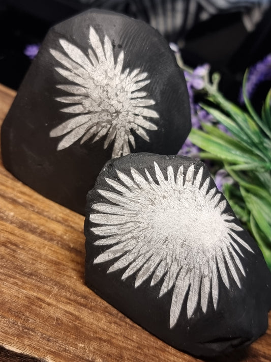 Chrysanthemum stone freeforms