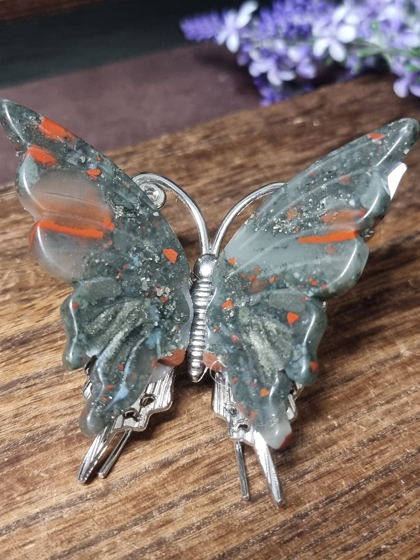 African bloodstone butterfly