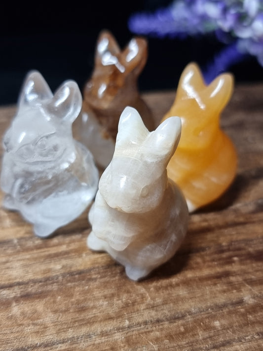 Rabbit carvings