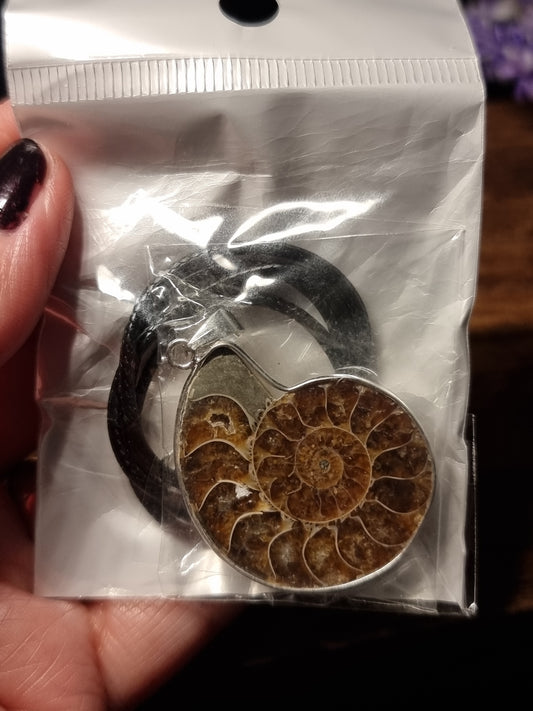 Ammonite necklaces