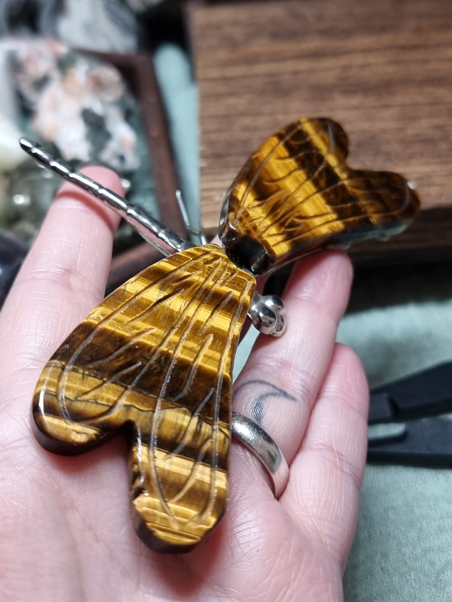 Tigers eye dragonfly