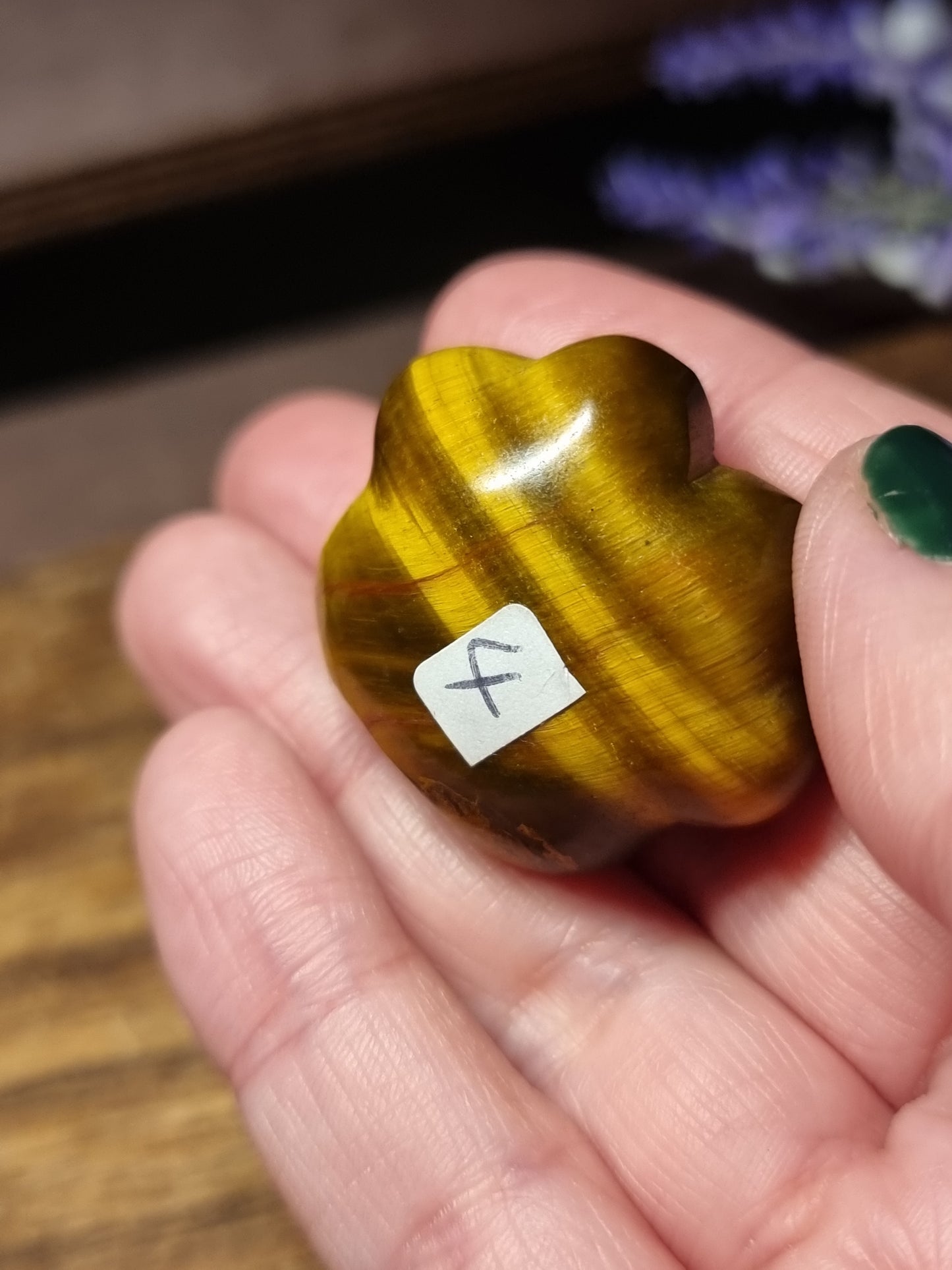 Tigers eye paw