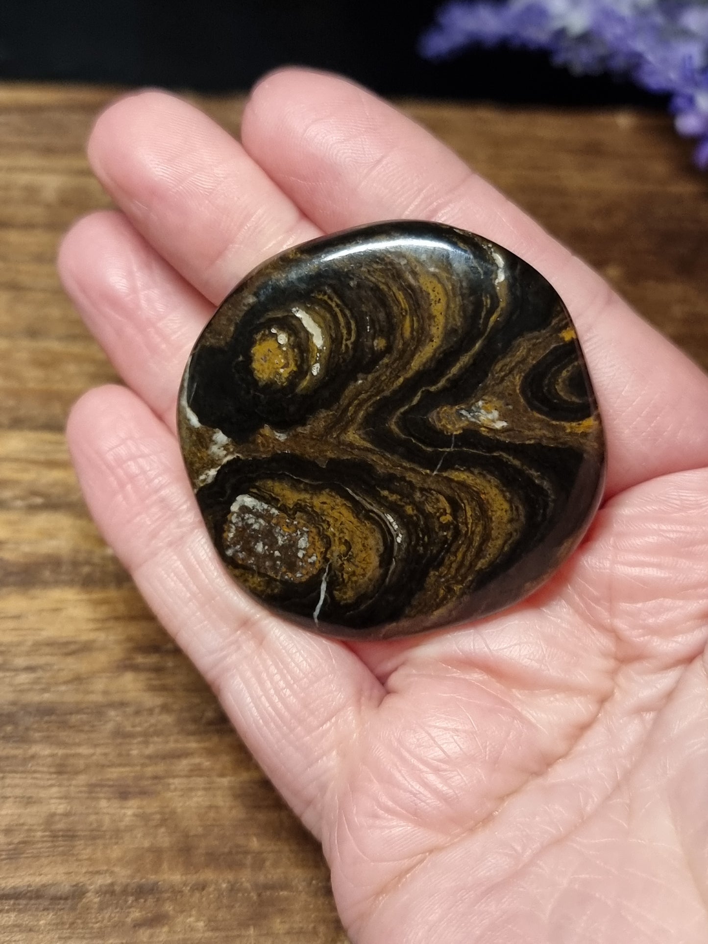 Stromatolite flatstones