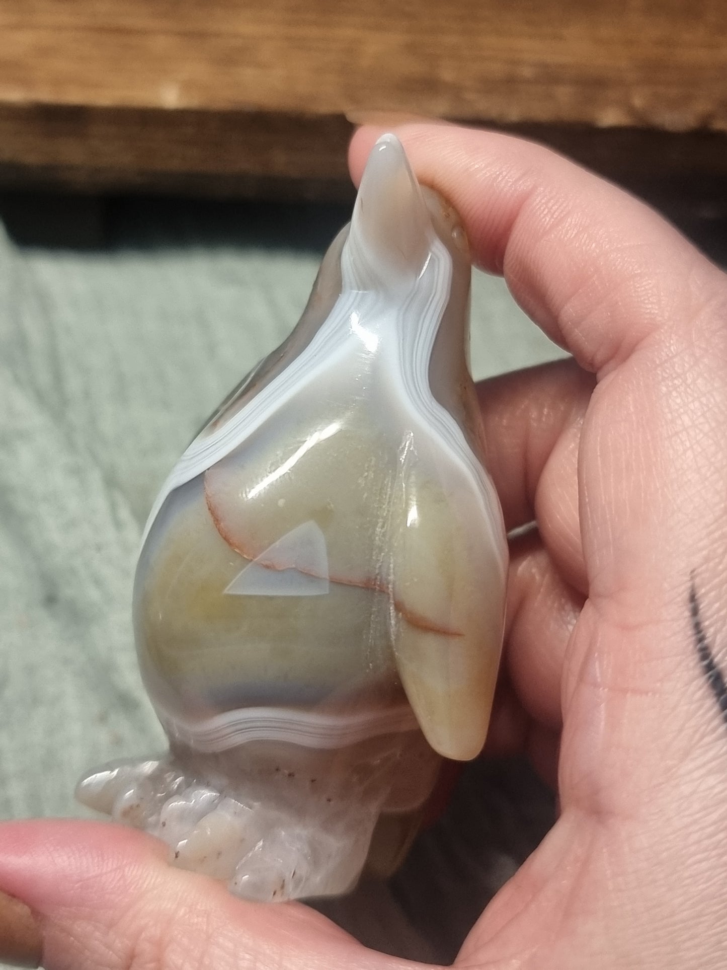 Agate penguins