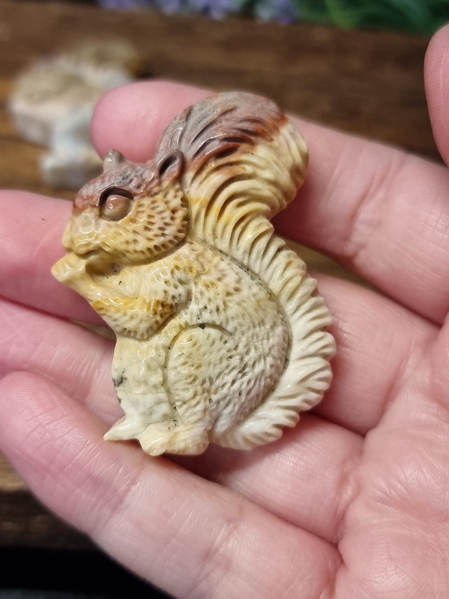 Wild horse picture jasper squirrels