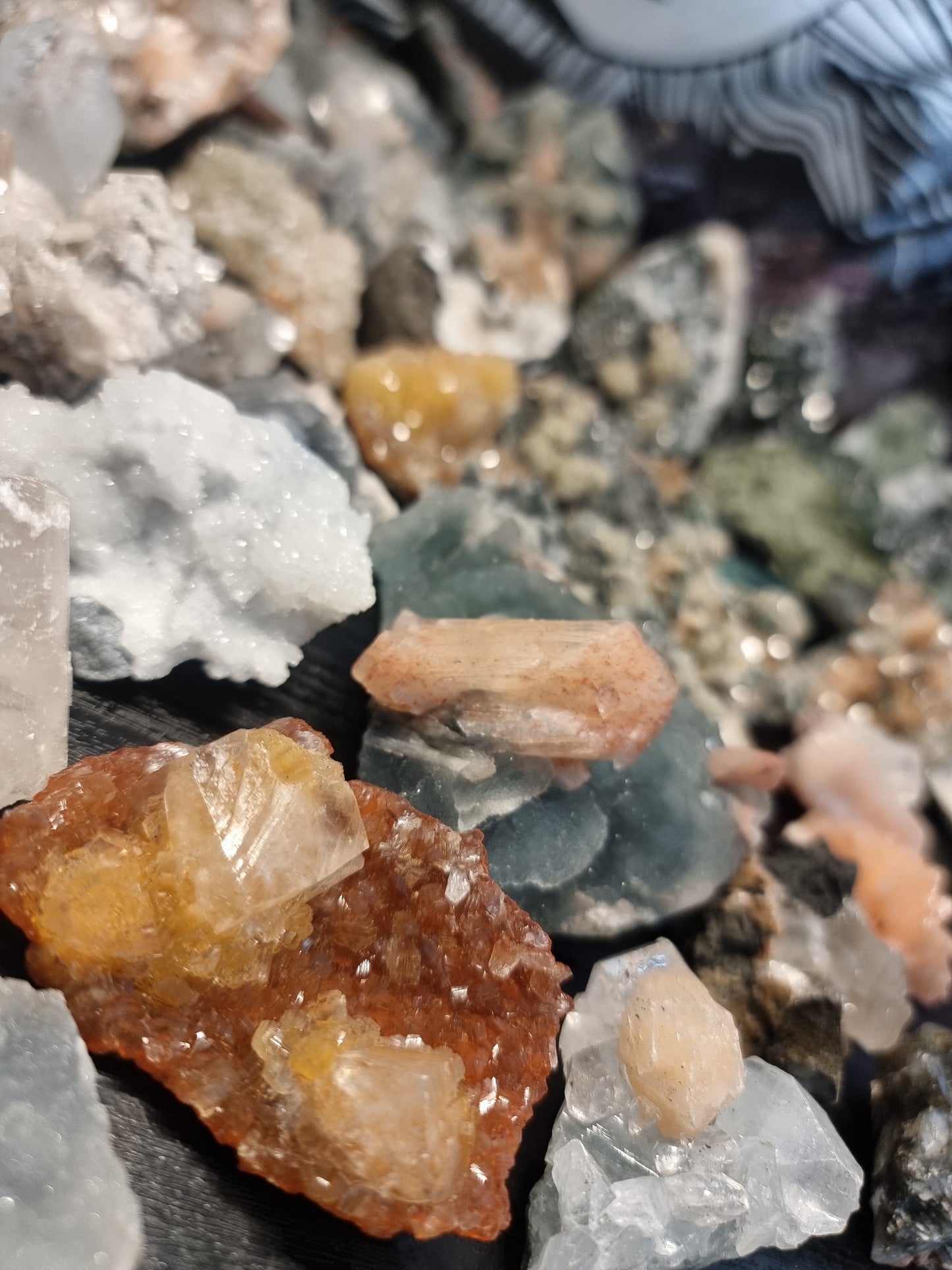 Specimen mystery box