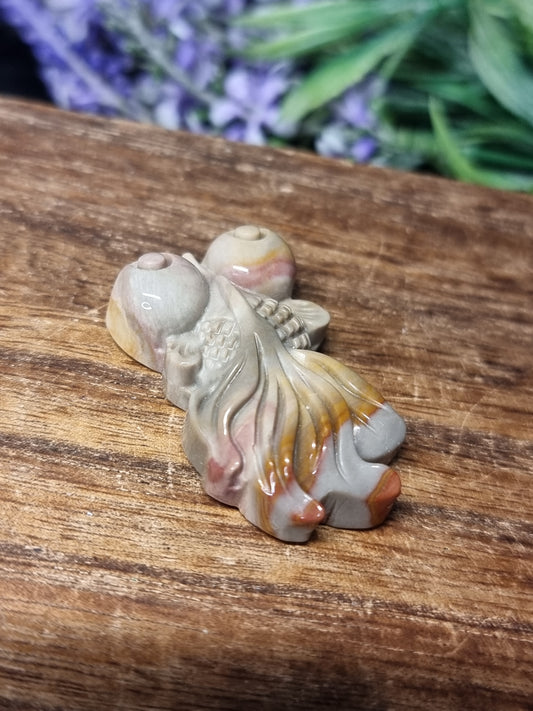 Wild horse picture jasper fish