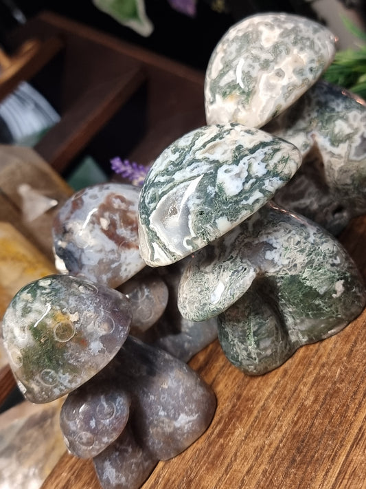 Moss agate mushrooms