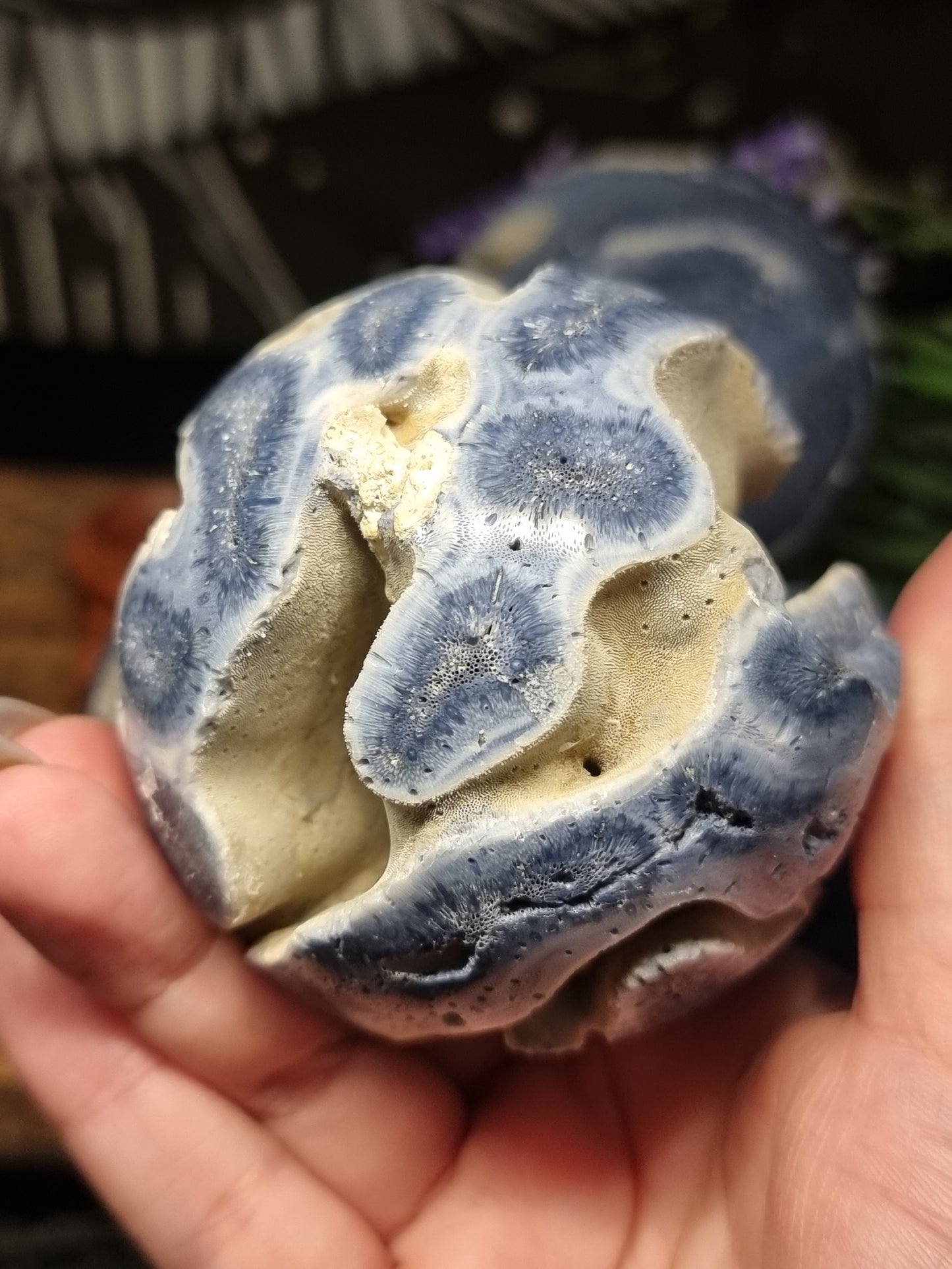 Blue coral spheres (natural)