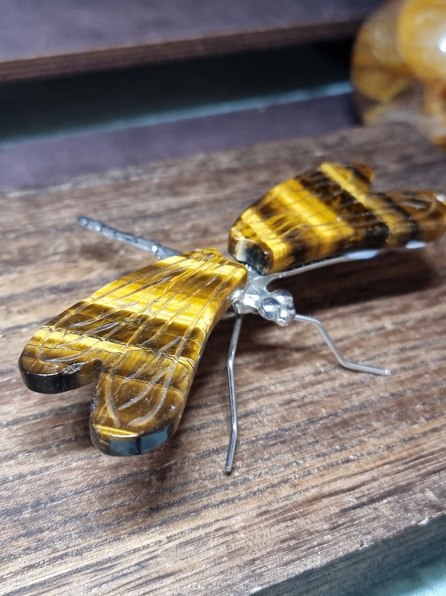 Tigers eye dragonfly