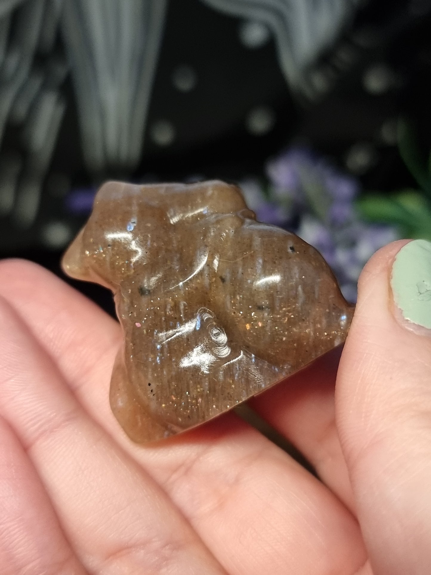Peach moonstone hugging cats