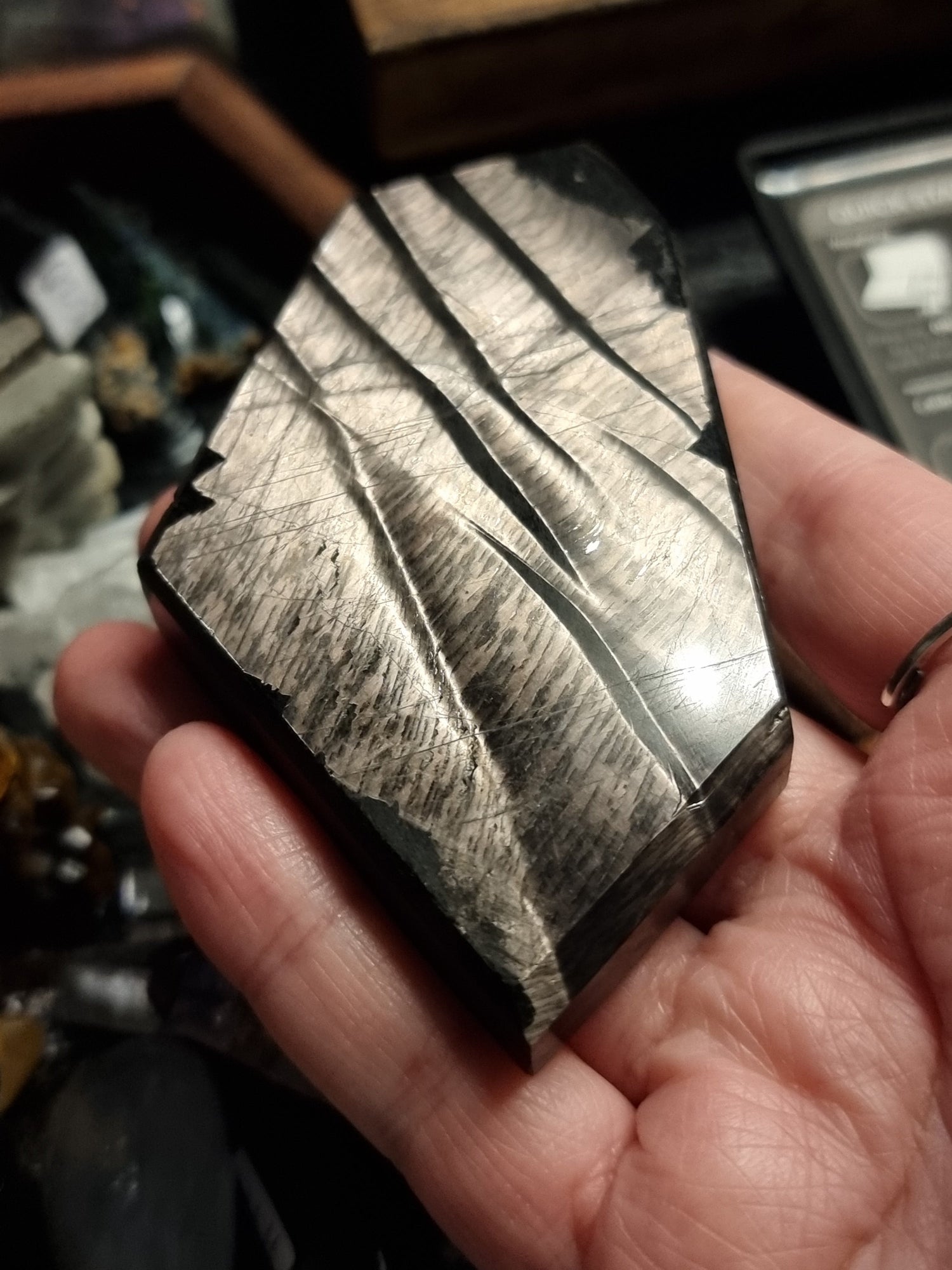 Slabs /slices