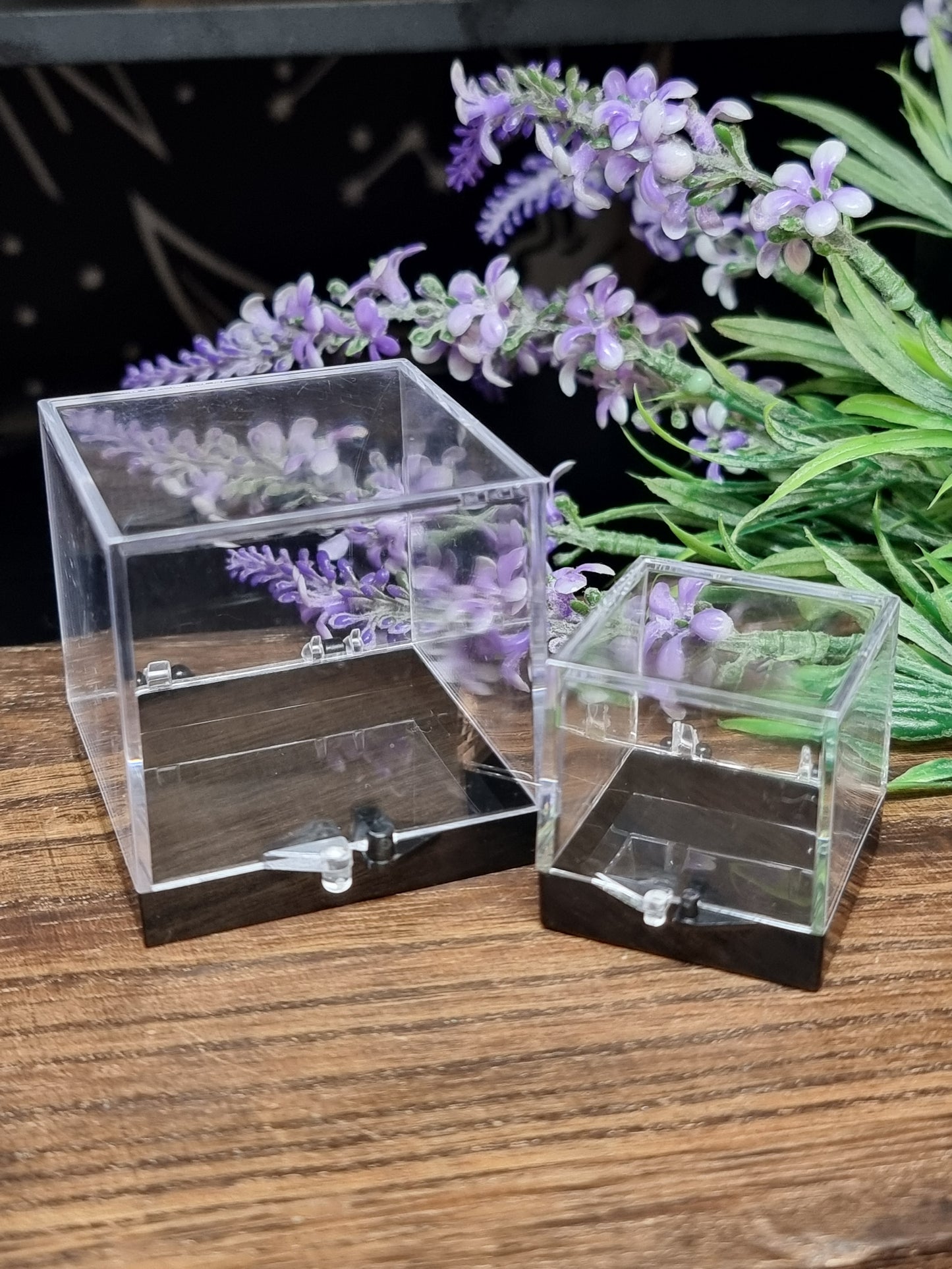 Specimen boxes