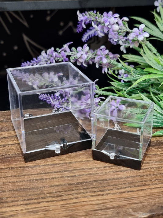 Specimen boxes